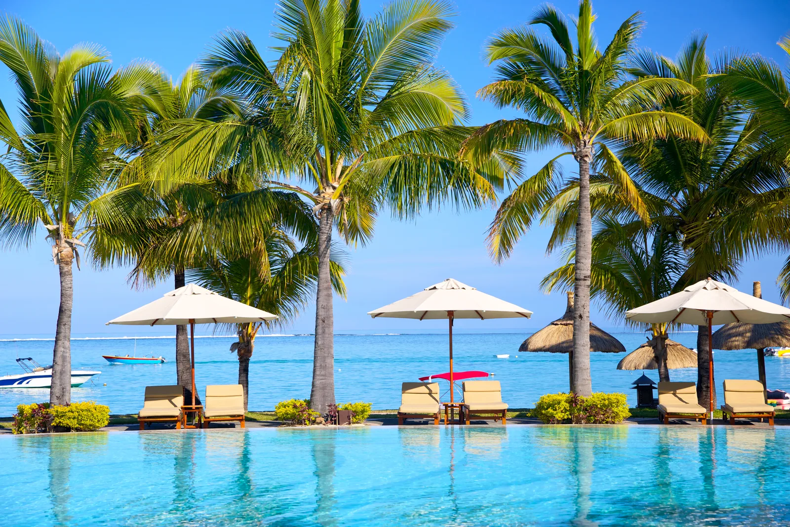 Wide tropical resort pool and gardens