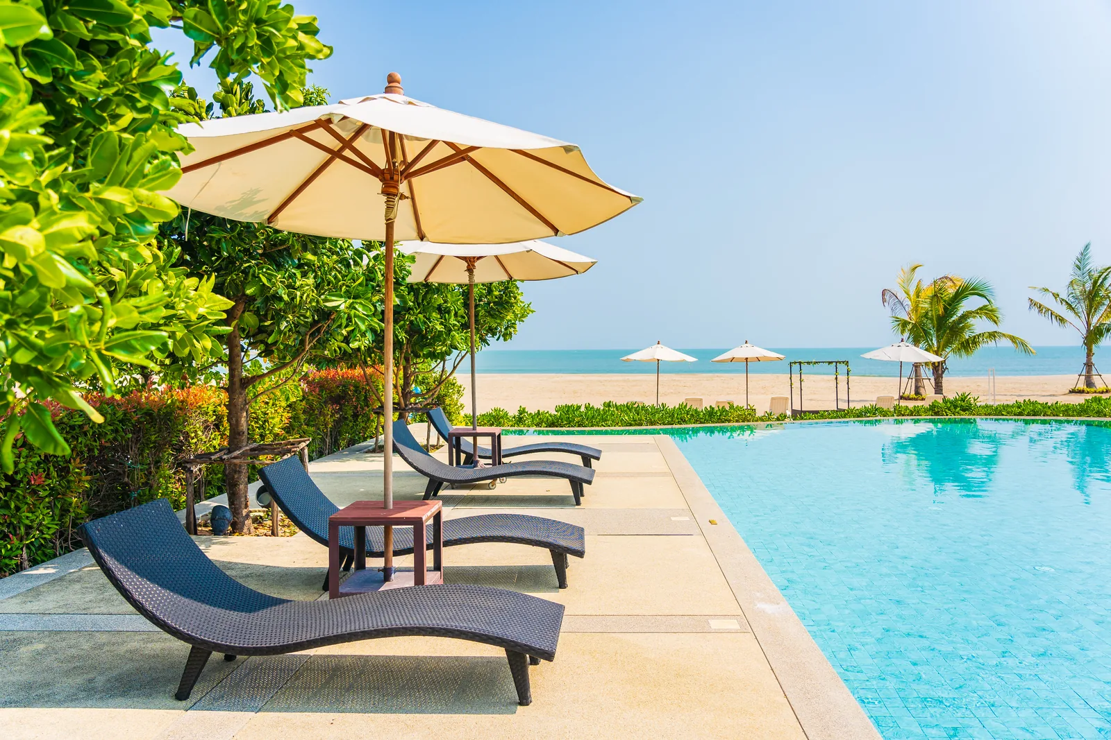 Representative beachfront resort loungers beside the sea